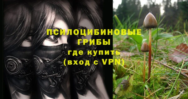 винт Белокуриха