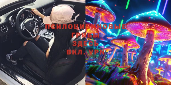 индика Белоозёрский