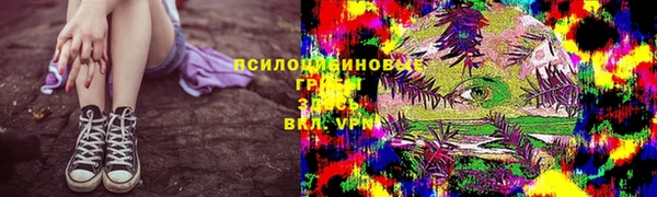 индика Белоозёрский