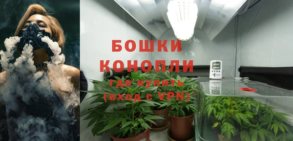 индика Белоозёрский