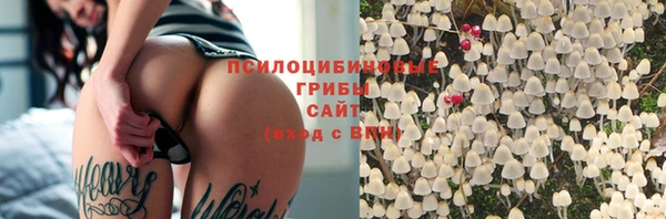 винт Белокуриха