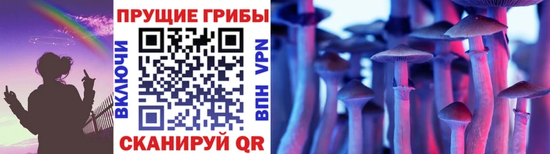 Псилоцибиновые грибы GOLDEN TEACHER где купить hydra ссылка Волосово