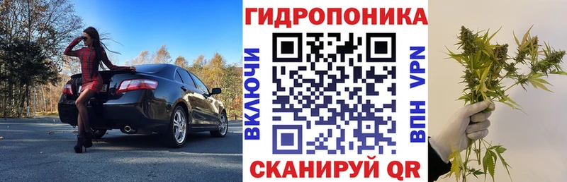 гидра ТОР  Волосово  Канабис семена 